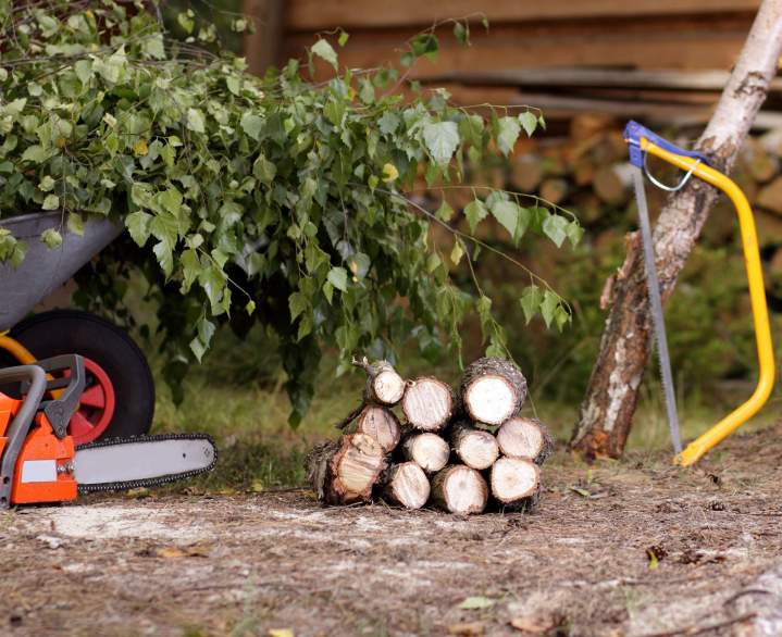 Élagage professionnel Eure